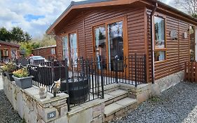 Red Squirrel Lodge